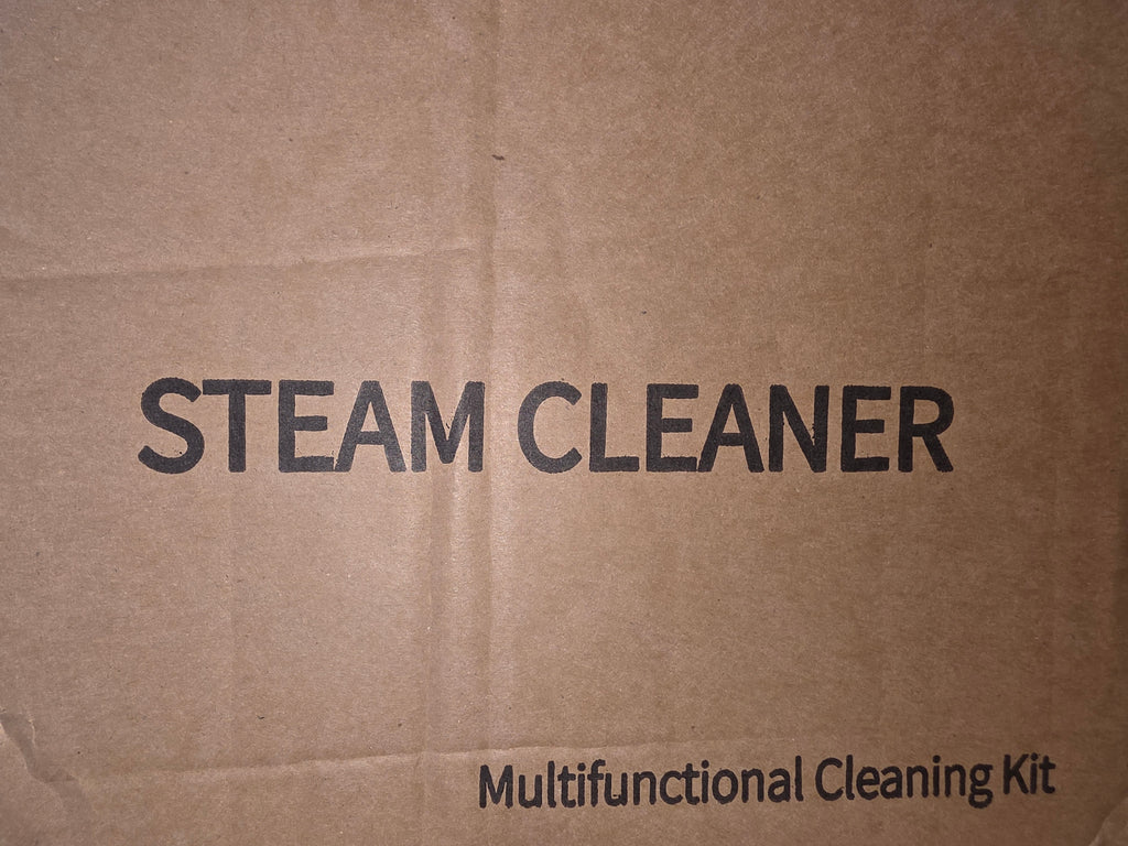 Steam cleaner