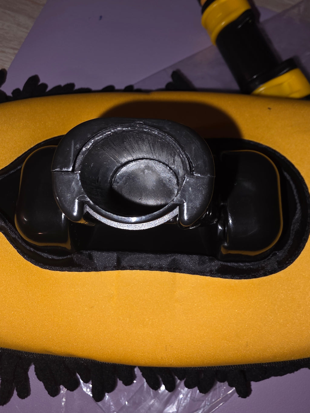 Duster / mop for car