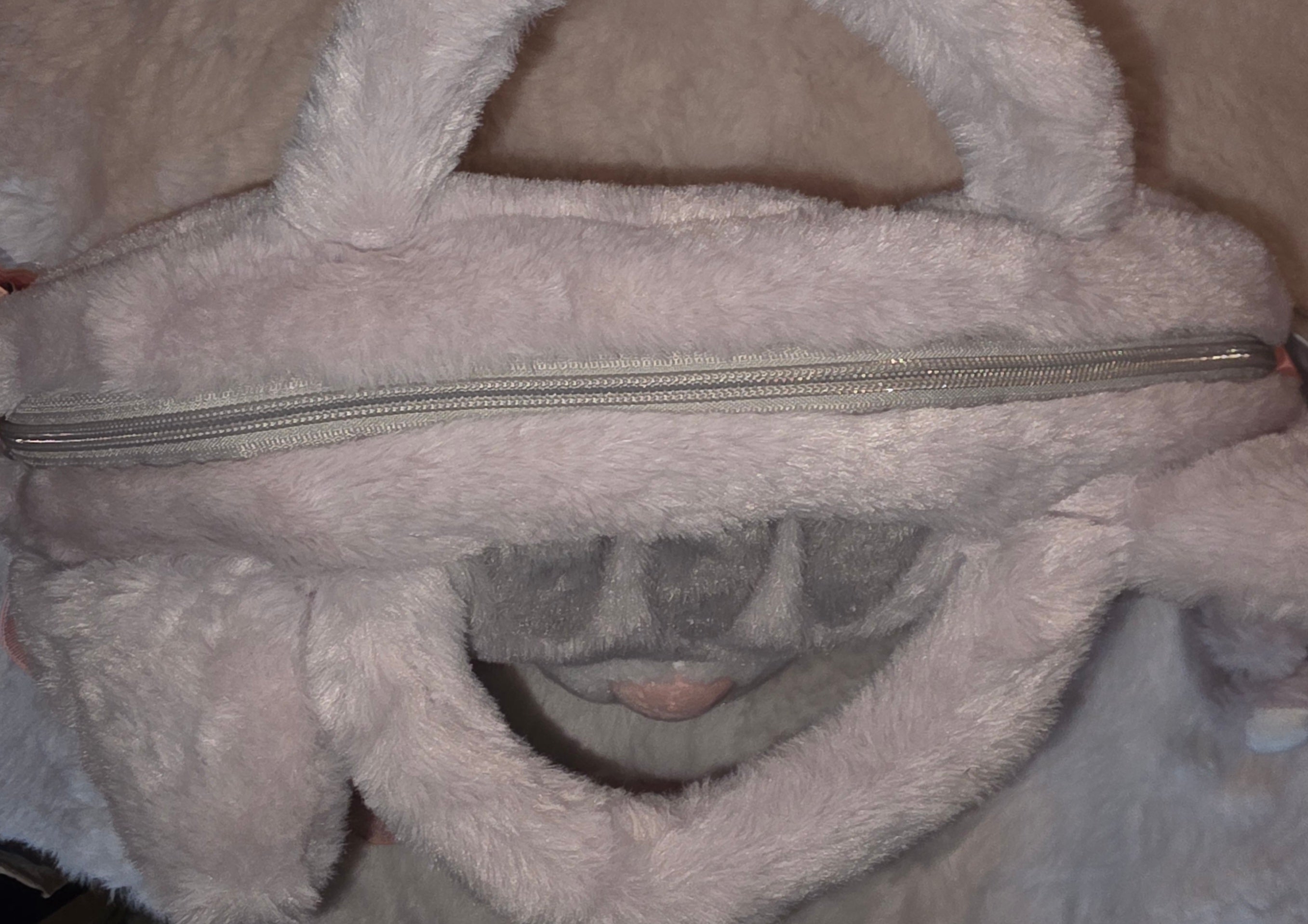 Tabby cat bag with strap handles and plushie