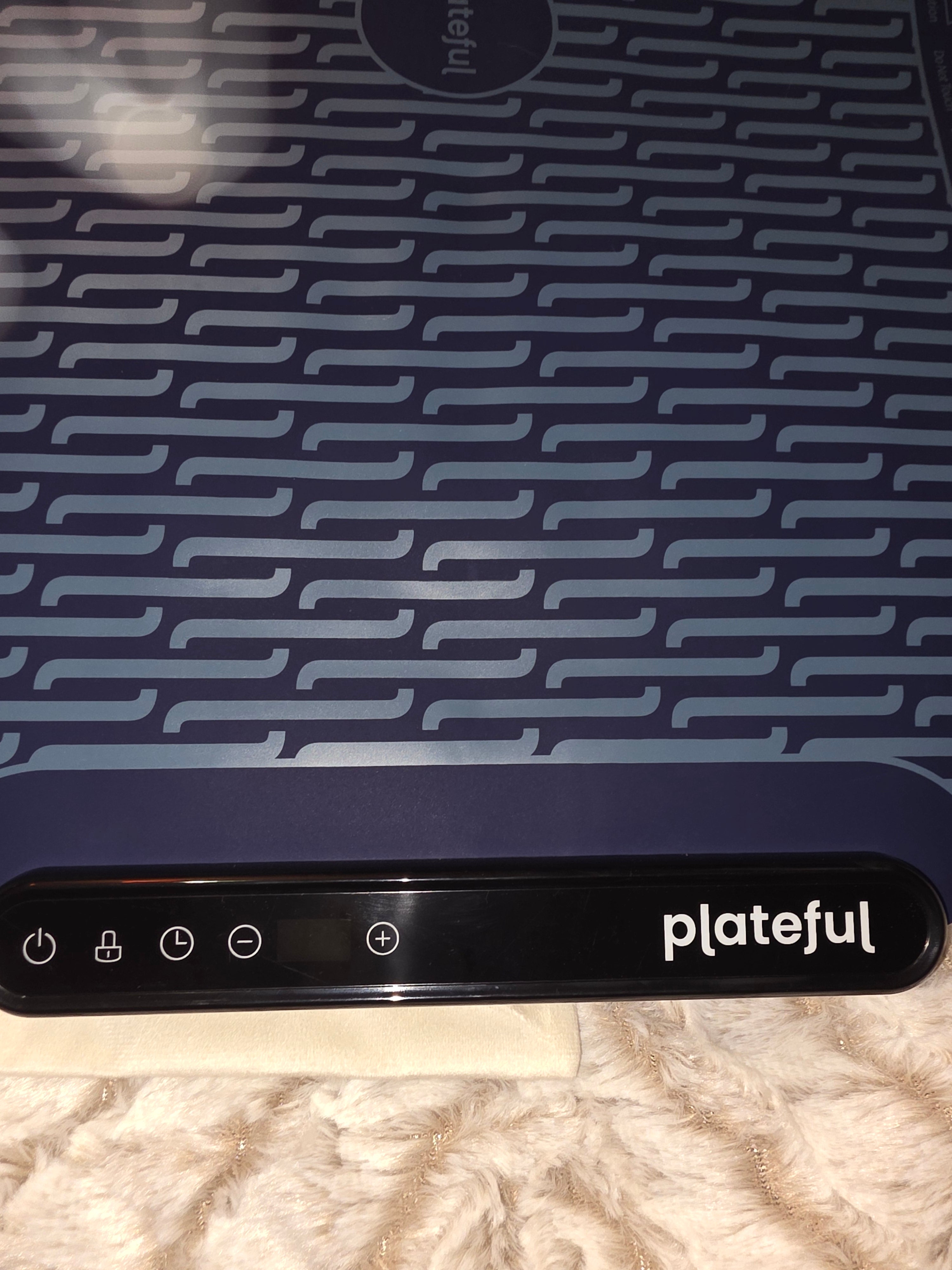 Plateful food warming mat
