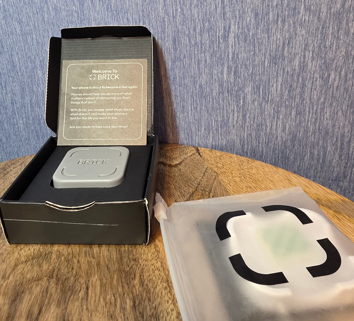 Brick control your screen time device with wall mount