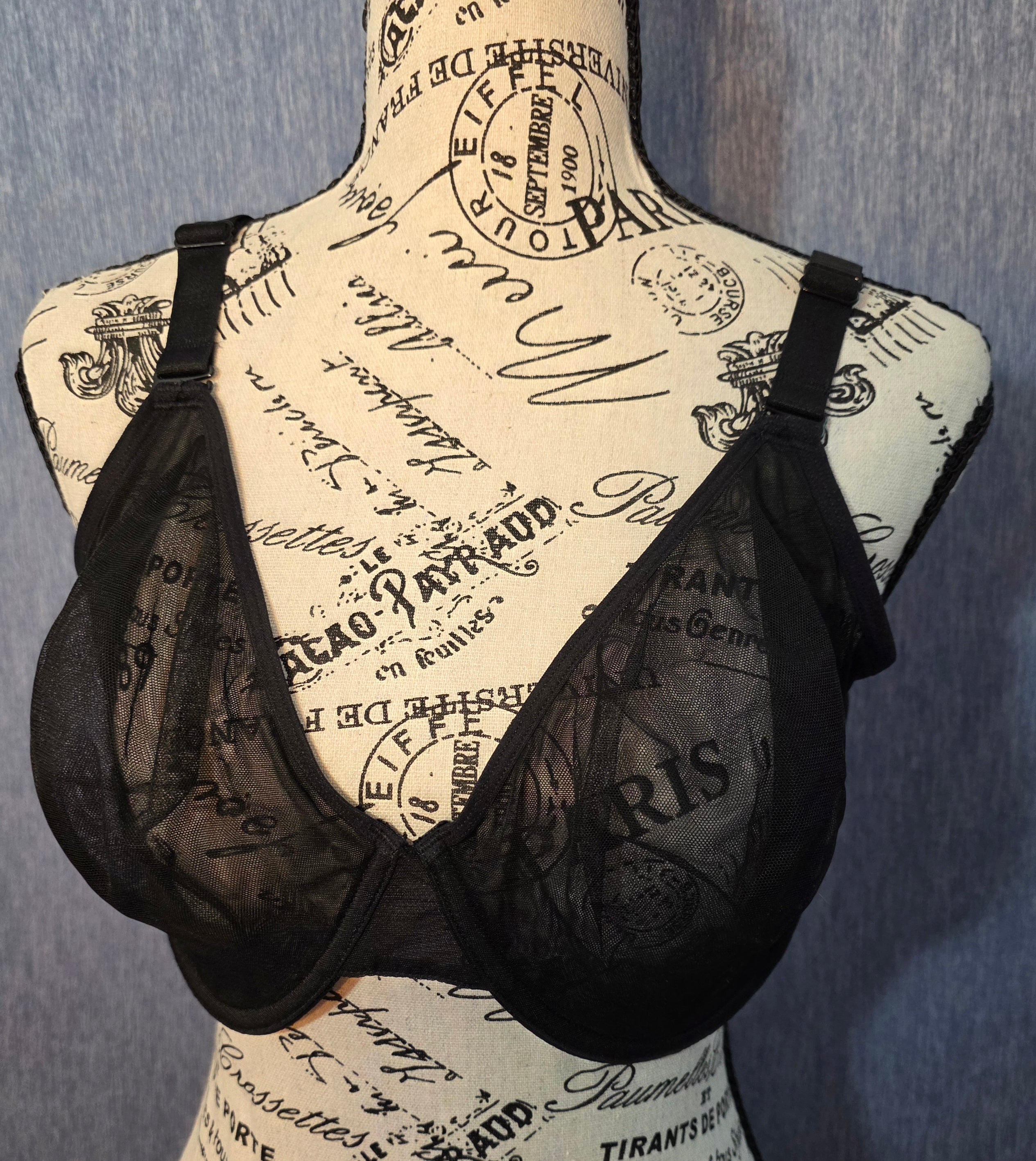 HSIA black shear bra size 38DD