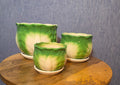 Set of 3 cabbage style planters