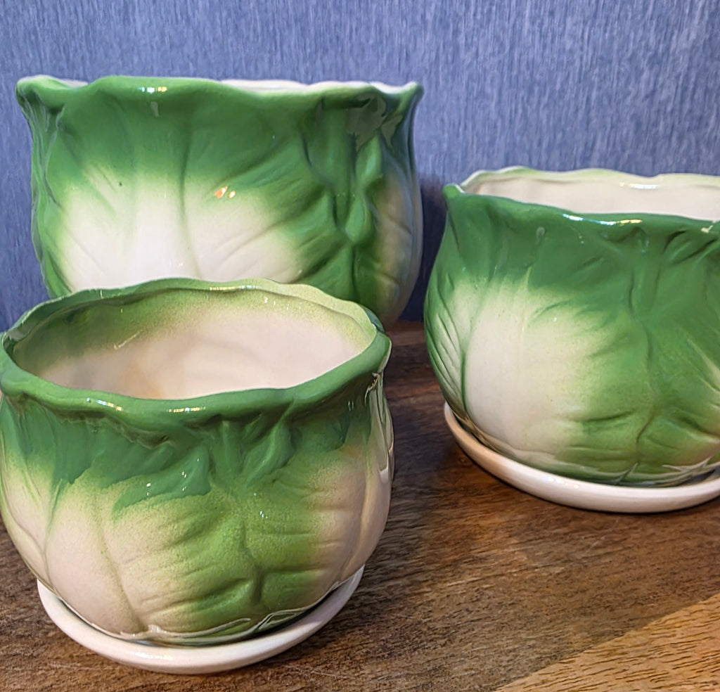 Set of 3 cabbage style planters