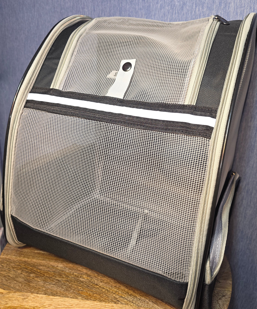 Small pet backpack