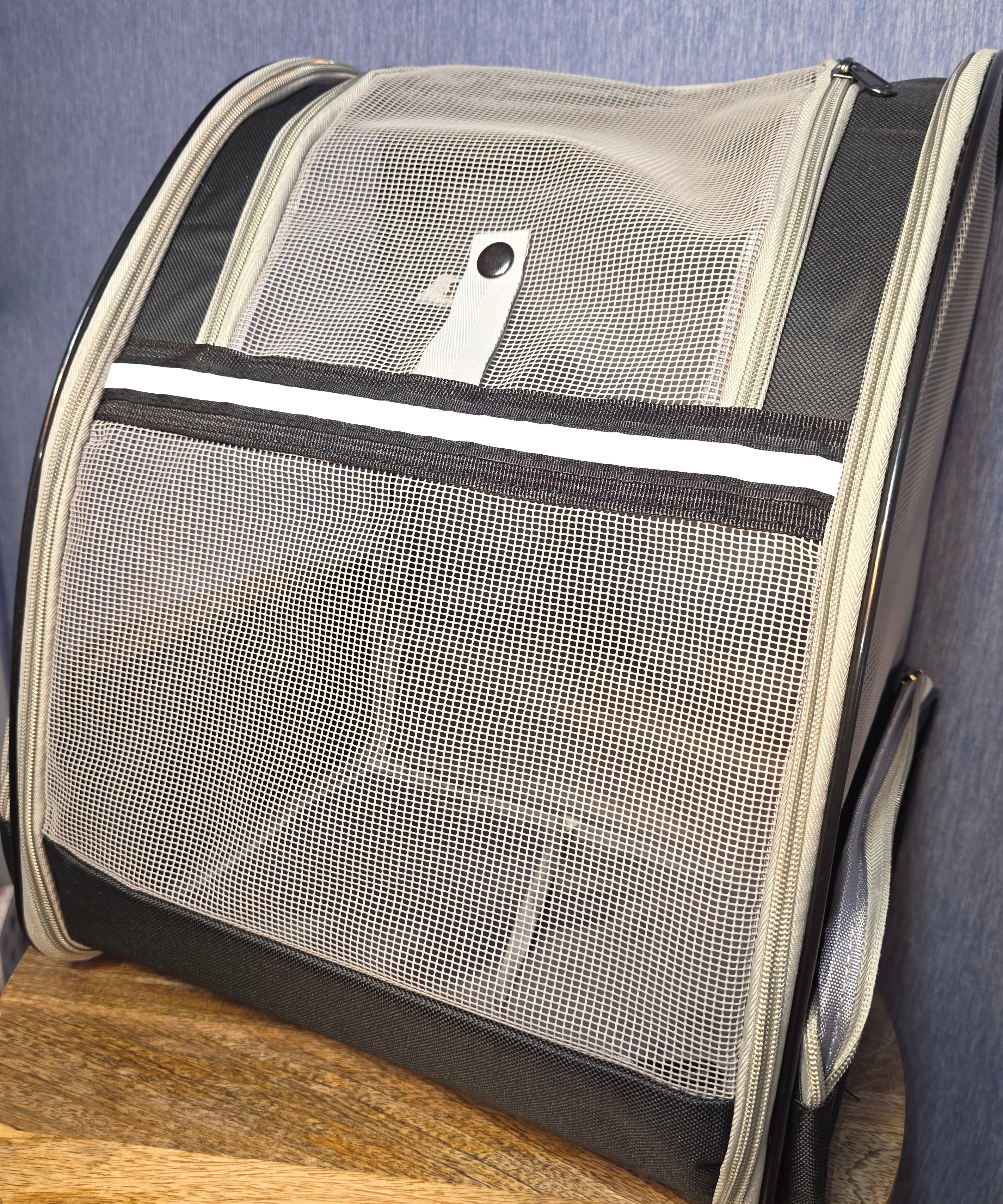 Small pet backpack
