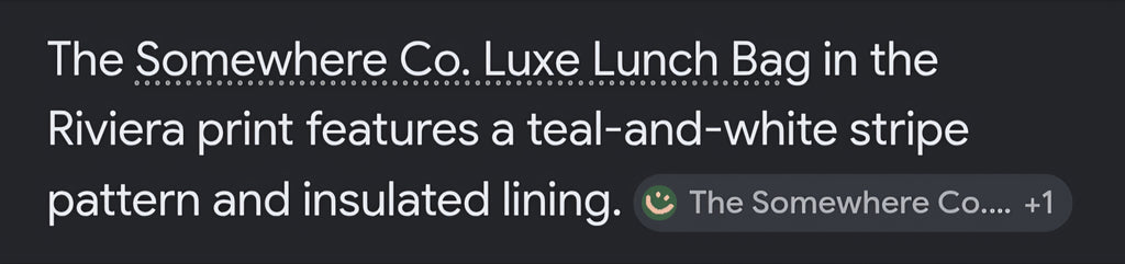 Luxe lunchbag