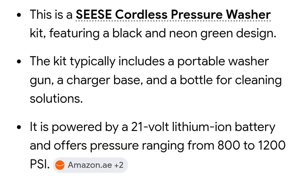 SEESE pressure washer