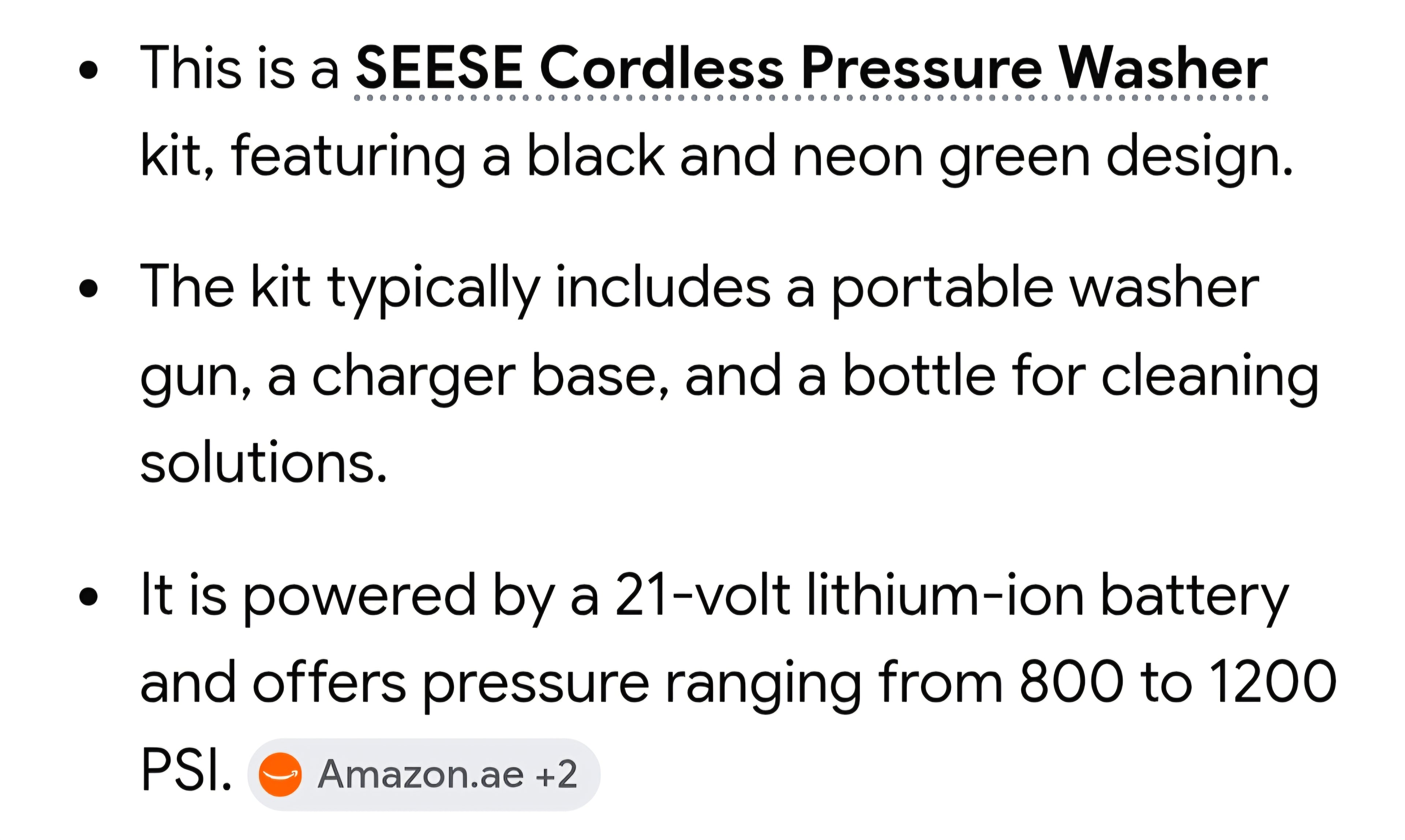 SEESE pressure washer
