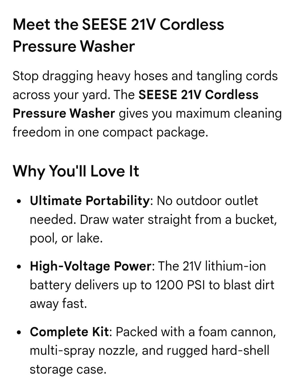 SEESE pressure washer