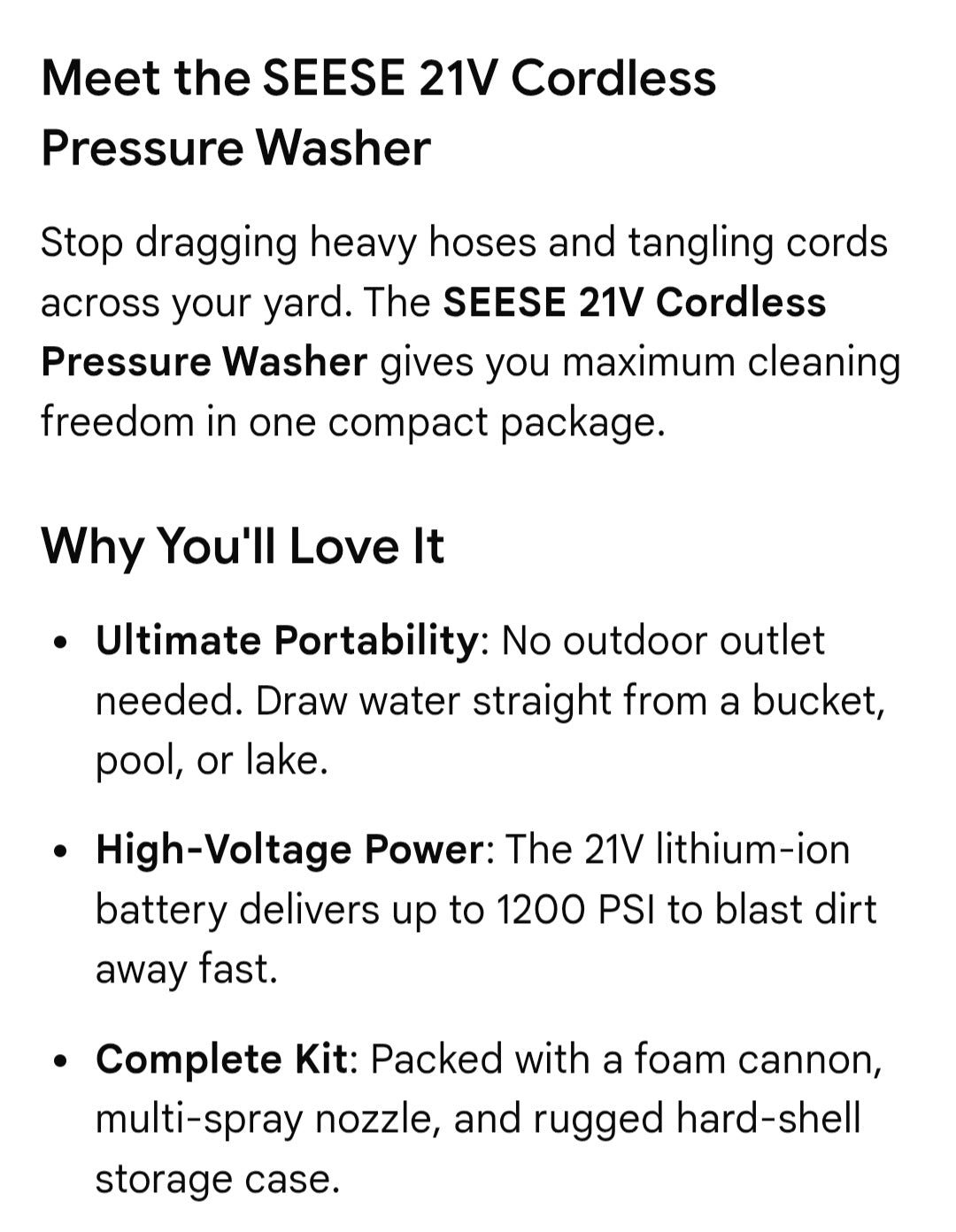 SEESE pressure washer