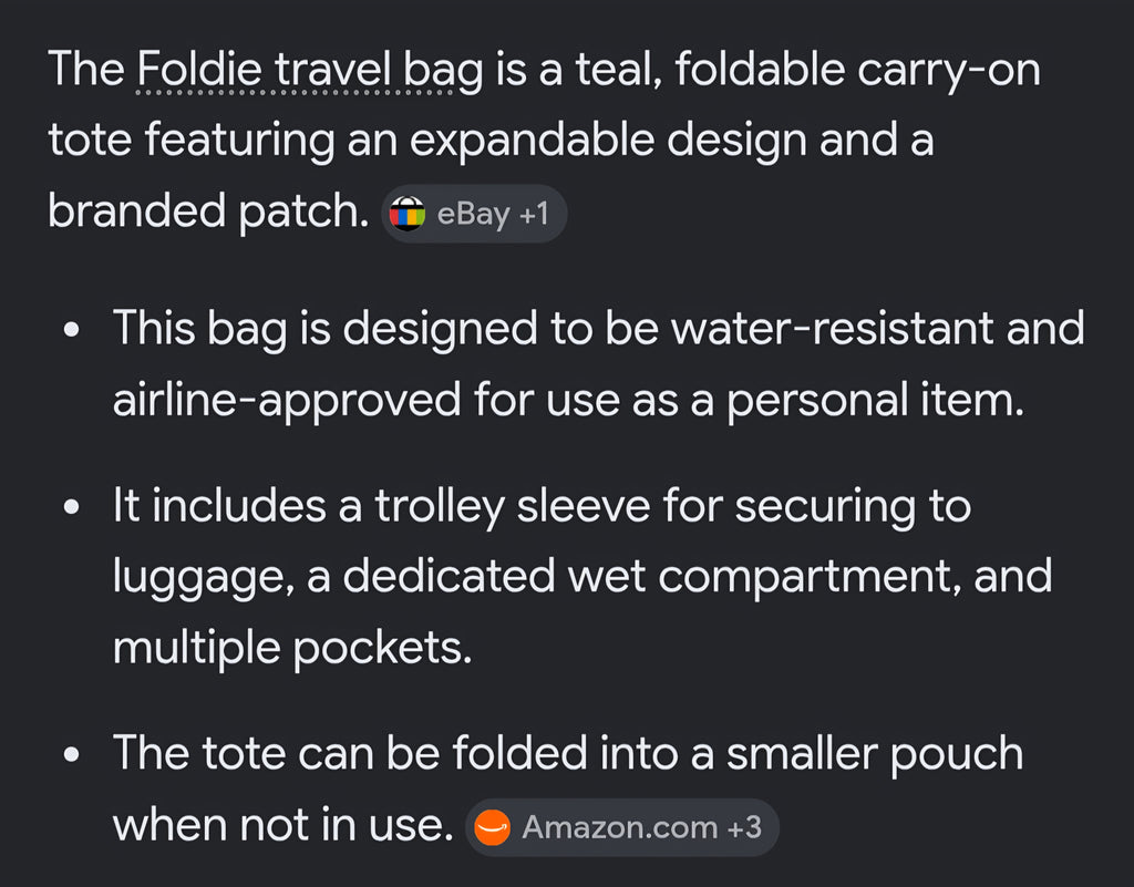 Blue Foldie travel bag