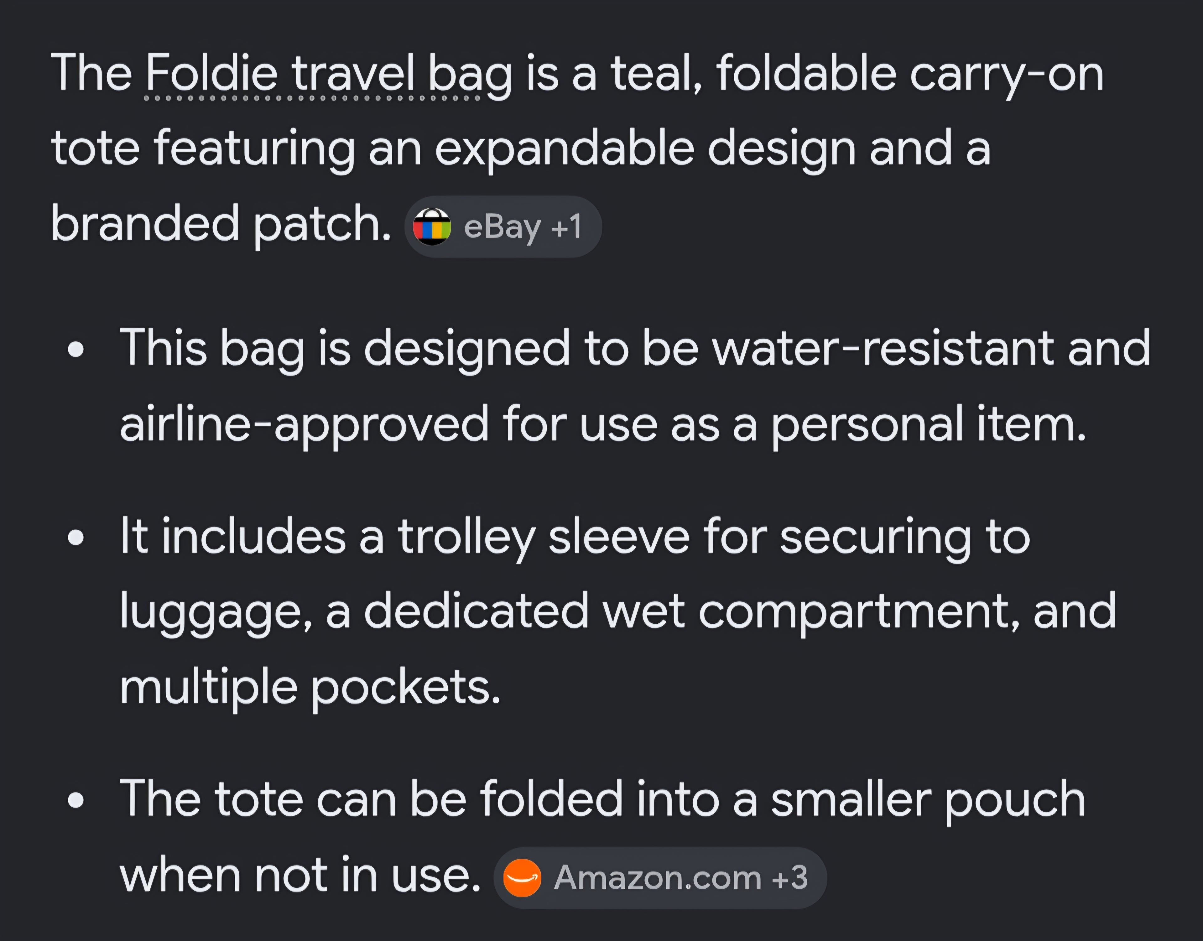 Blue Foldie travel bag