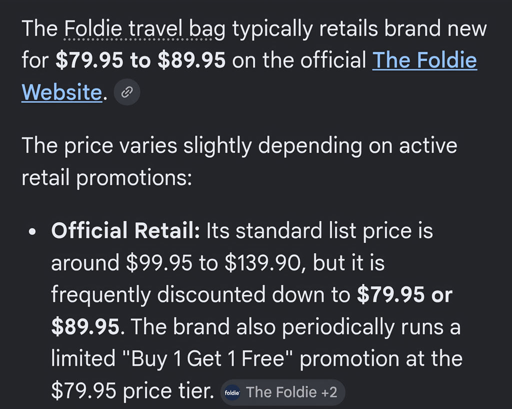 Blue Foldie travel bag