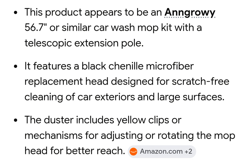 Duster / mop for car