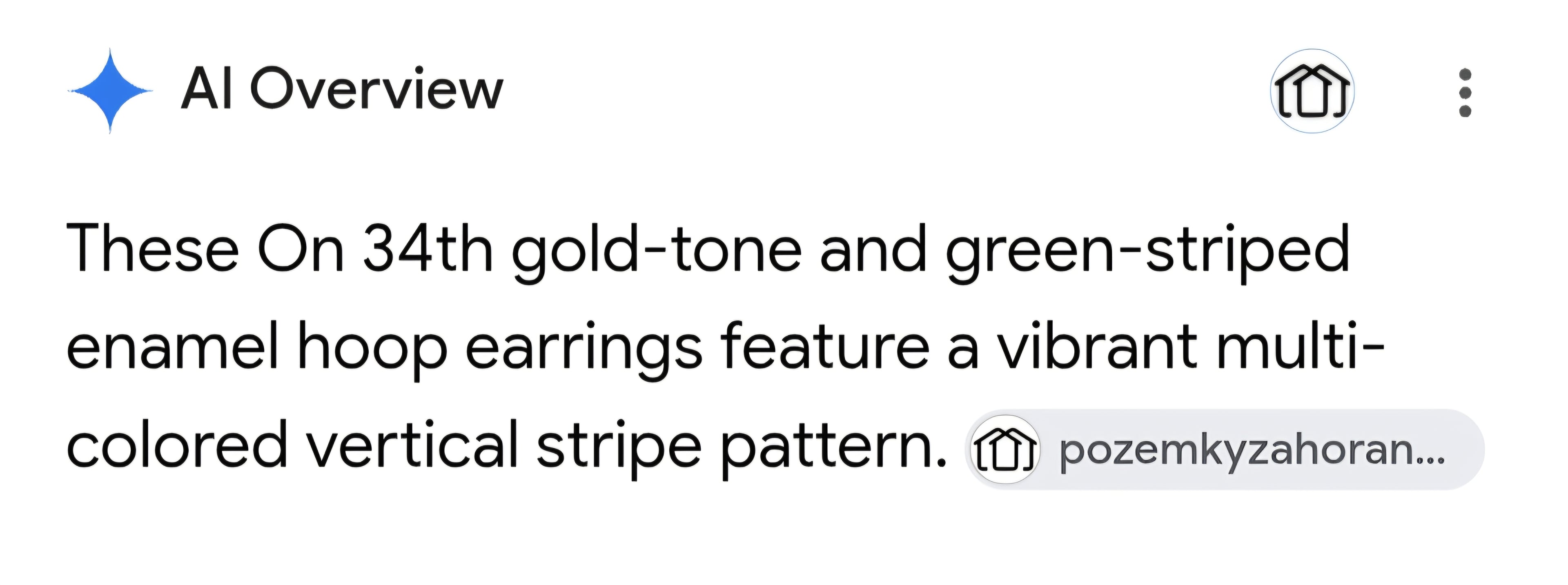 ON 34th street hoop ear rings