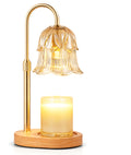Candle warmer lamp
