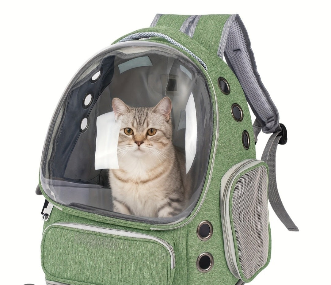 Small pet backpack