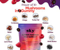 Sky ultimate mushroom daily gummies wild raspberry