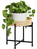Bamworld plant stand