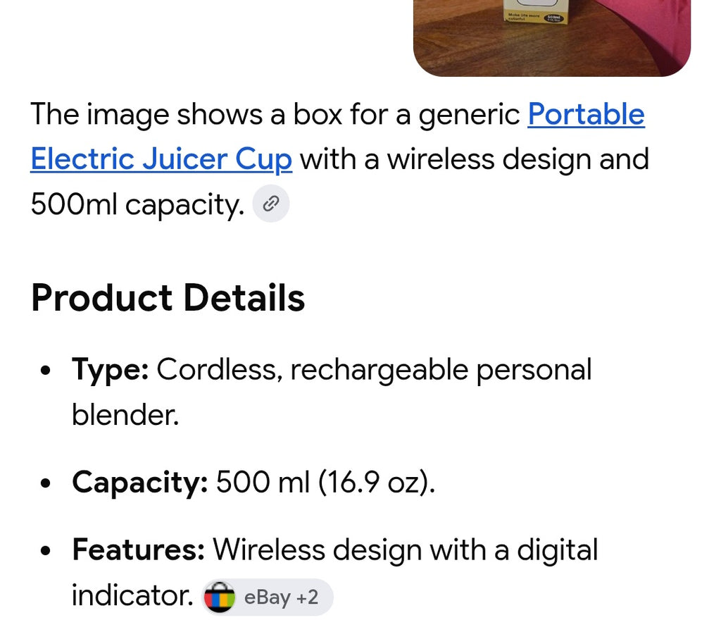 Portable electric juicer