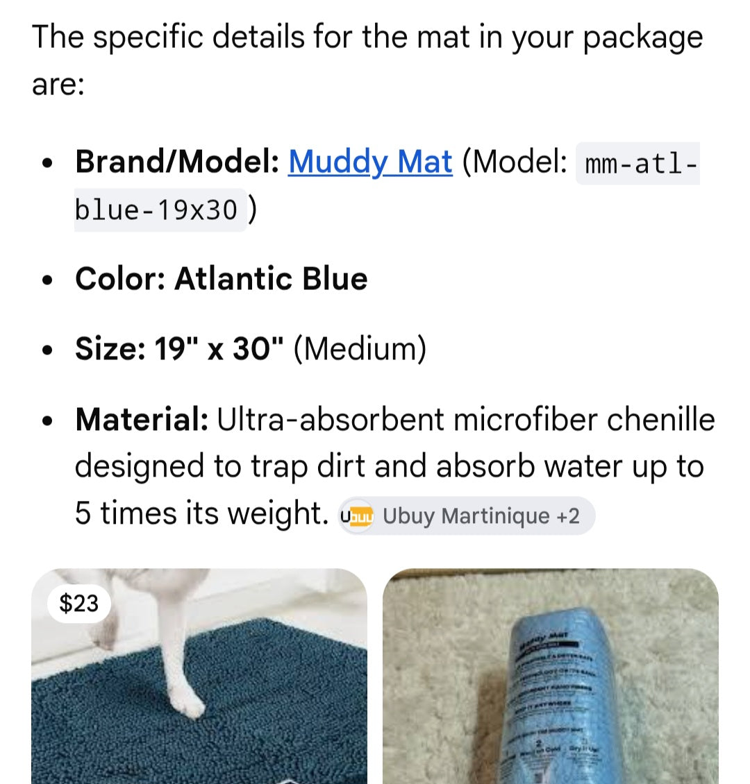 Muddy mat 19×30 Alantic Blue color